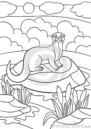 Coloring pages. Little cute otter stands on the stone Vector Illustration