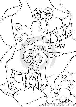 Coloring pages. Two beautiful urials stand on the mountain Vector Illustration