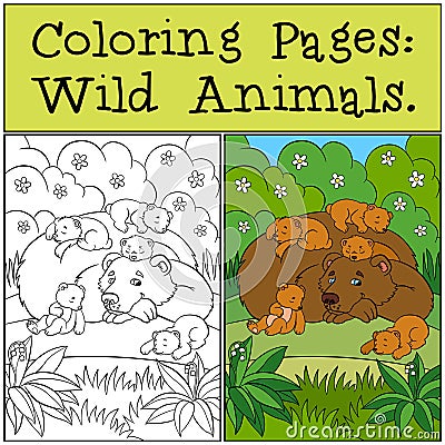 Coloring Pages: Wild Animals. Daddy bear Vector Illustration