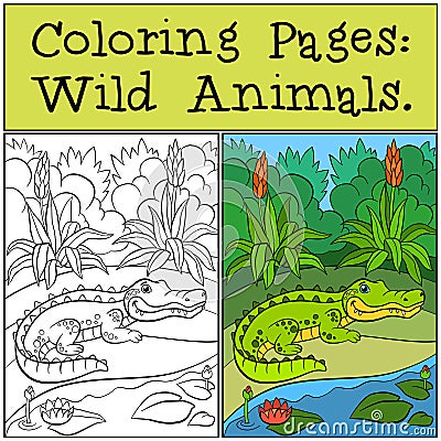 Coloring Pages: Wild Animals. Little cute alligator. Vector Illustration