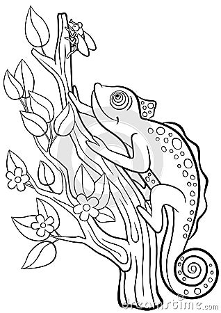 Coloring pages. Wild animals. Little cute chameleon. Stock Photo