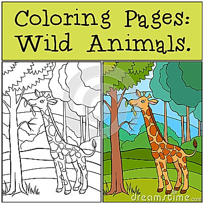 Coloring Pages: Wild Animals. Little cute giraffe. Vector Illustration