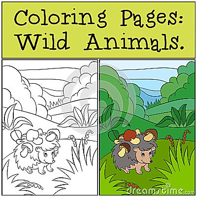 Coloring Pages: Wild Animals. Little cute hedgehog . Vector Illustration