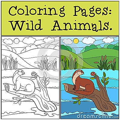Coloring Pages: Wild Animals. Little cute otter Vector Illustration