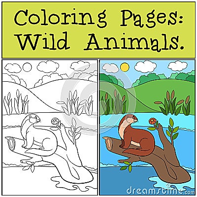 Coloring Pages: Wild Animals. Little cute otter smiles Vector Illustration