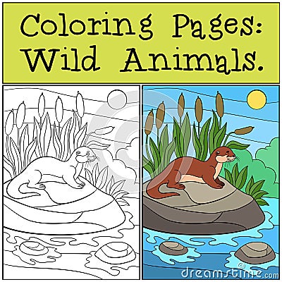 Coloring Pages: Wild Animals. Little cute otter smiles Vector Illustration