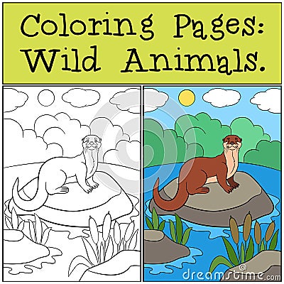 Coloring Pages: Wild Animals. Little cute otter smiles Vector Illustration