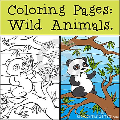 Coloring Pages: Wild Animals. Little cute panda. Vector Illustration