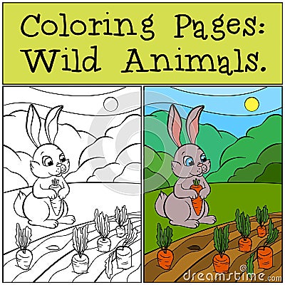 Coloring Pages: Wild Animals. Little cute rabbit. Vector Illustration