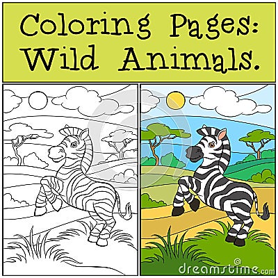 Coloring Pages: Wild Animals. Little cute zebra. Vector Illustration