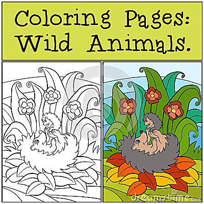 Coloring Pages: Wild Animals. Mother hedgehog holds little cute baby hedgehog. Vector Illustration