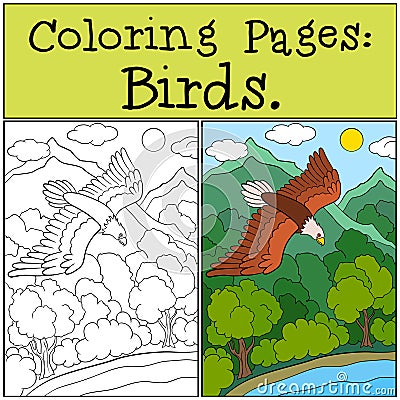 Coloring Pages: Wild Birds. Cute bold eagle flying. Vector Illustration