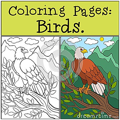 Coloring Pages: Wild Birds. Cute bold eagle sits and smiles. Vector Illustration