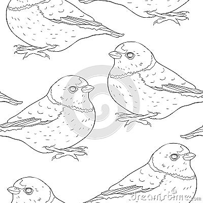 seamless pattern bird green organist Tanager family. vector illustration Vector Illustration