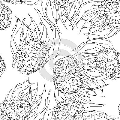Coloring seamless pattern pandan fruit of Thailand. vector illus Vector Illustration