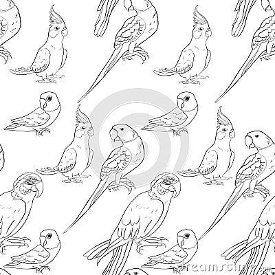 Coloring seamless pattern parrot ozherelovy, Masked Lovebird, Vector Illustration