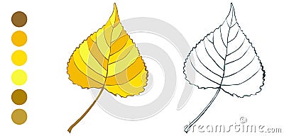 Coloring sheet with yellow autumn aspen leaf Vector Illustration