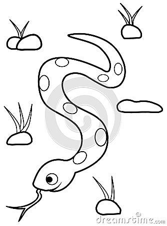 Coloring snake Stock Photo