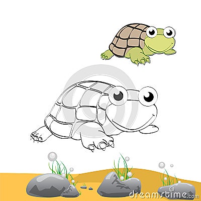 Coloring turtle Stock Photo