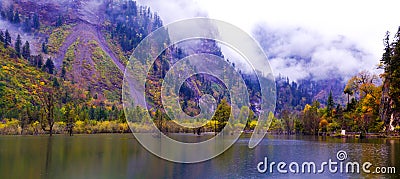 The colorized grove and lakes Stock Photo