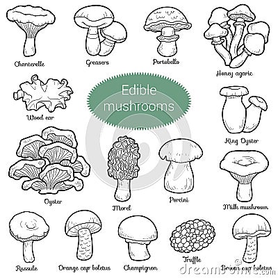 Colorless set of edible mushrooms Vector Illustration