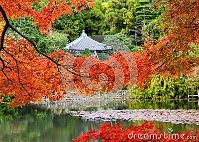 Colors of autumn leaves and little shrine, Japan. Stock Photo