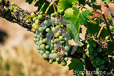 Colors of France Stock Photo