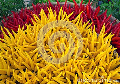 Colors of fresh peppers. Stock Photo