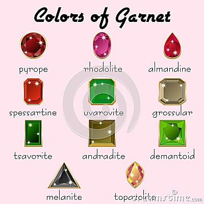 Colors of Garnet in different cuts Vector Illustration