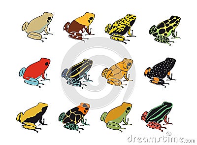 Colors and patterns of poison-dart frogs Vector Illustration