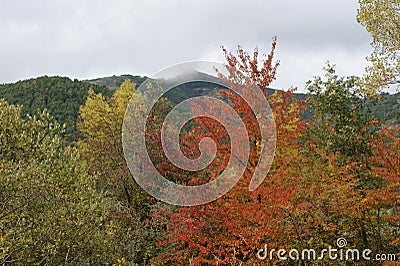 The colors of Pico Cueto, in BoÃ±ar, in the autumn Stock Photo