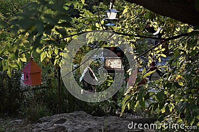 Colouful bird houses hanging from a huge tree outside a nature path Stock Photo