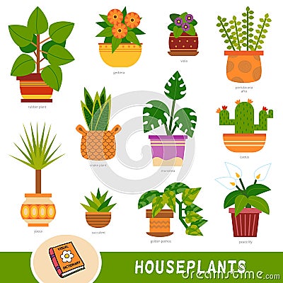 Colour set of houseplants, collection of nature items with names in English. Cartoon visual dictionary for children about flowers Vector Illustration