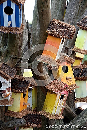 Coloured bird houses Stock Photo