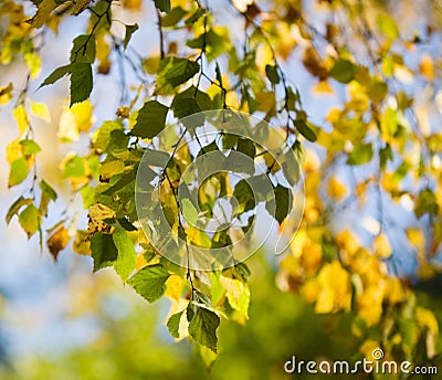 Colourful autumn Stock Photo