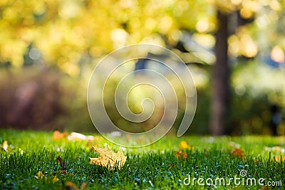 Colourful autumn Stock Photo