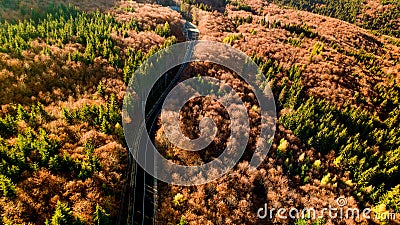 Colourful autumn landscape aerial view of empty asphalt roads, trees with yellow and orange leaves. European roads details Stock Photo