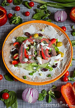 Colourful beef wrap Stock Photo