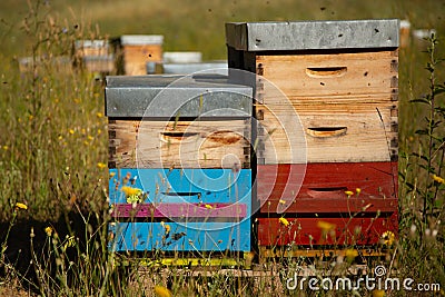 Colourful Beehives in Provence Stock Photo