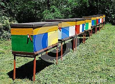 Colourful Beehives Stock Photo