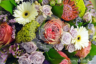 Colourful bouquet of flowers in red scale. Stock Photo