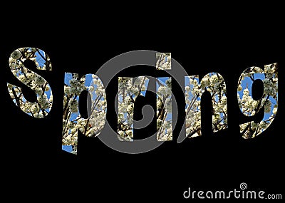 Colourful design word spring font stock vector decorative element in white and blue on black background. Stock Photo