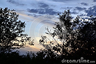 Colourful evening sky with wispy clouds and silhoutted trees Stock Photo