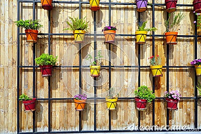 Colourful Flower Pots on Wooden Wall Stock Photo