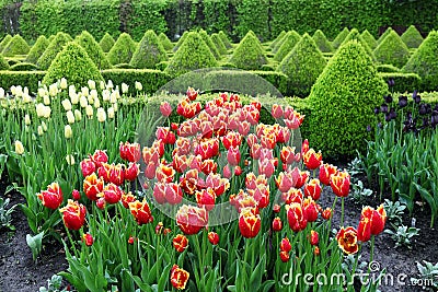 Colourful Flowerbeds. Stock Photo