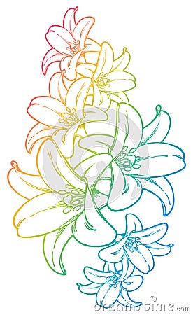 Colourful Flowers Vector Illustration