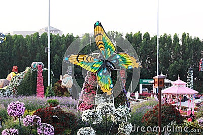 Colourful flowers and a very beautiful view of butterfly in Miracle garden,Dubai Editorial Stock Photo