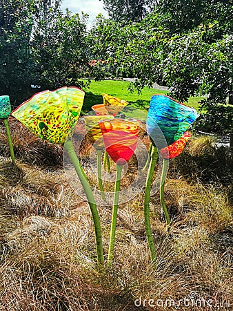 Colourful glass flowers art installation in a park Editorial Stock Photo