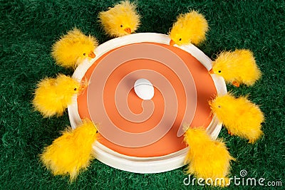 Colourful group of Easter chicks Stock Photo