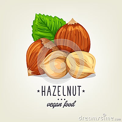 Colourful hazelnut icon isolated on background. Vector sketch of realistic nut with leaves and seeds. Vector Illustration